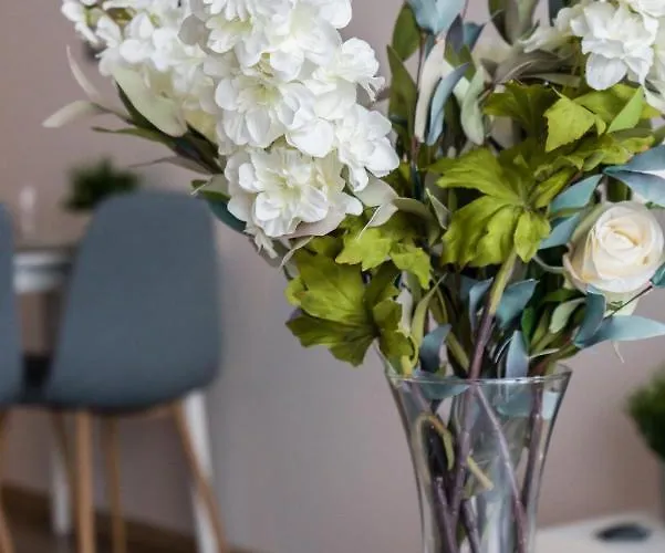 شقة Lwowska By The Malta By Renters